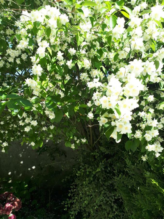 Les Seringats Poissy Eksteriør bilde